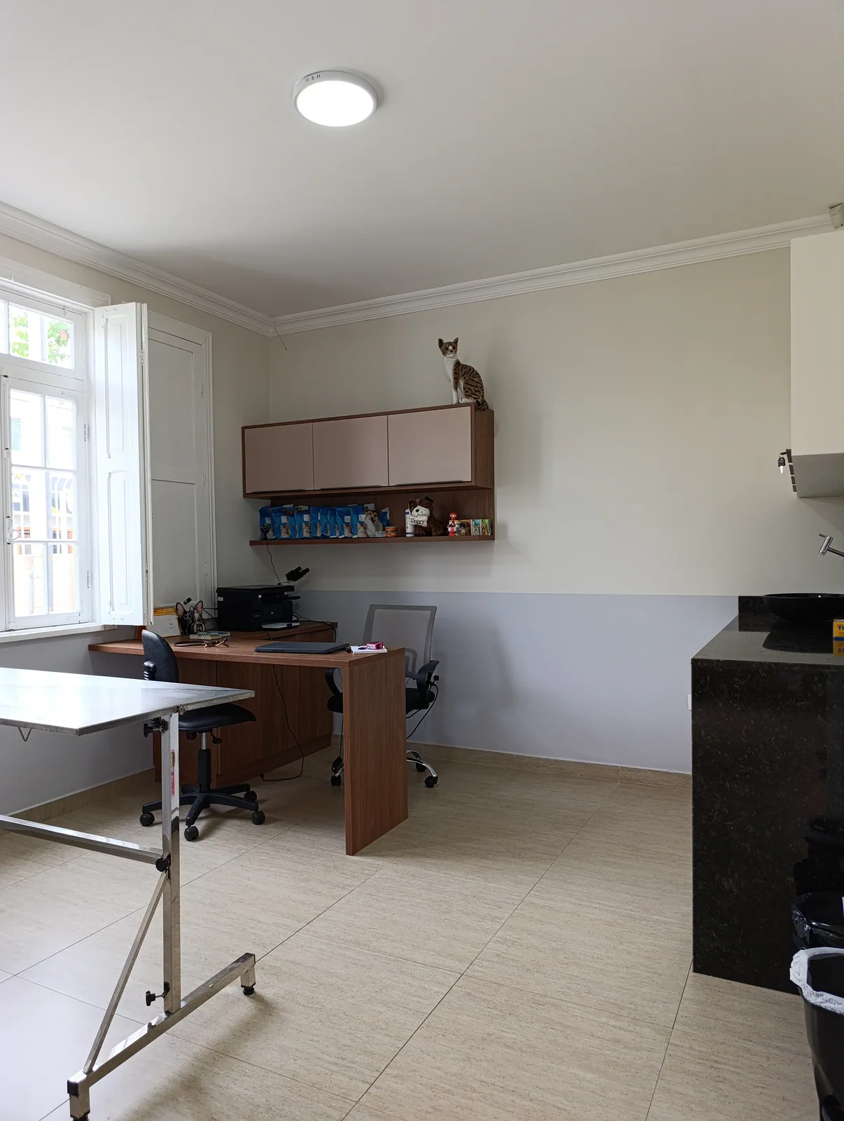 Sala de atendimento veterinário da Aumivet com bancada, mesa e iluminação natural